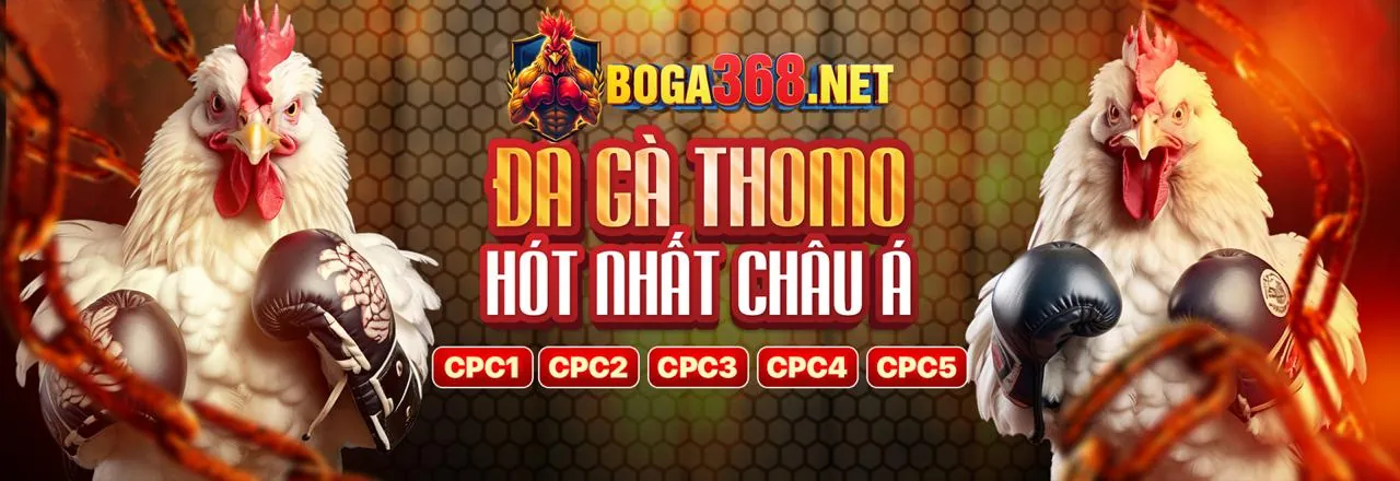 Thư viện tài nguyên toàn diện của 79king1